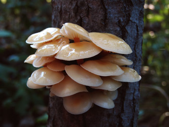 Similar image 22282999