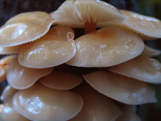 Similar image 22283000