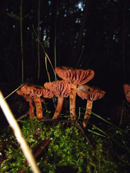 Similar image 22281935