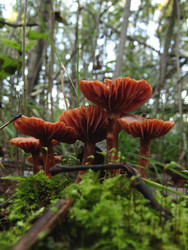 Similar image 22281936