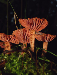 Similar image 22281937