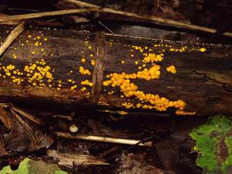 Similar image 22281938