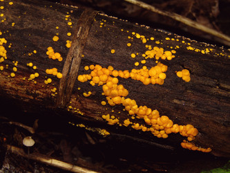 Similar image 22281939