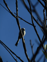 Similar image 22282677