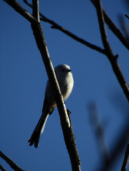 Similar image 22282678