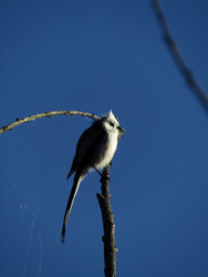 Similar image 22282679