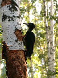 Similar image 22268940