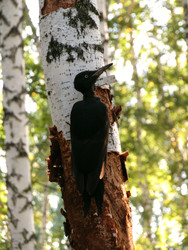 Similar image 22268942