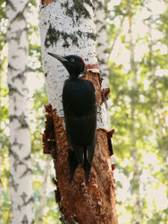 Similar image 22268943