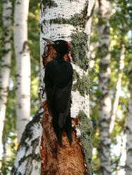 Similar image 22268944