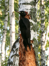 Similar image 22268945