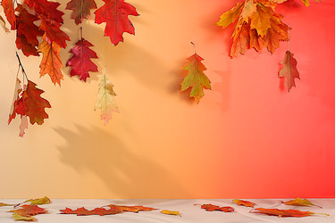 Similar image 22268950