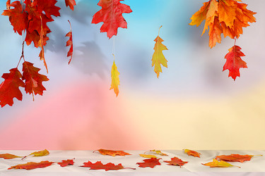 Similar image 22268952