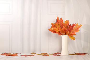 Similar image 22268955