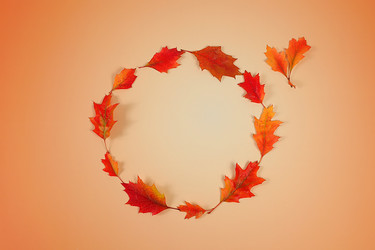 Similar image 22268956