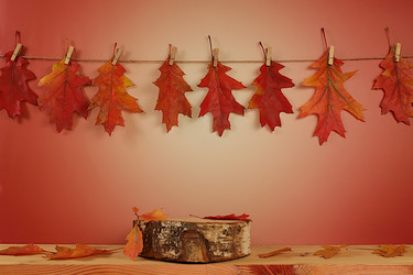 Similar image 22268957