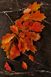 Similar image 22268959