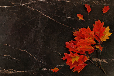 Similar image 22268960