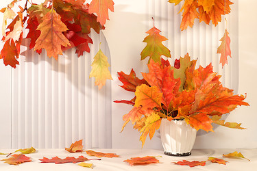 Similar image 22268963