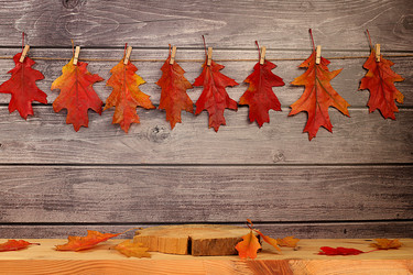 Similar image 22268965