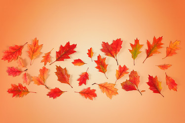 Similar image 22268967