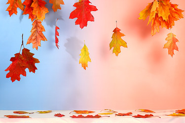 Similar image 22268968