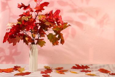 Similar image 22268969