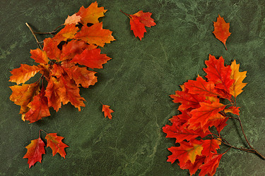 Similar image 22268970