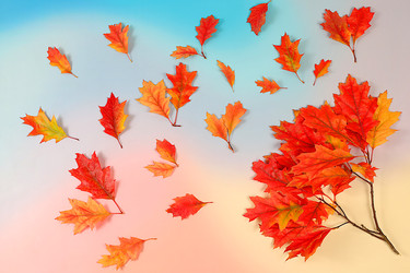 Similar image 22268974