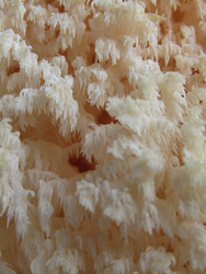 Similar image 22268977