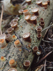 Similar image 22281291