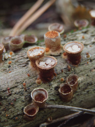 Similar image 22281292