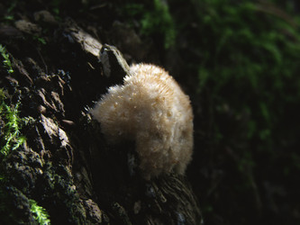 Similar image 22281293