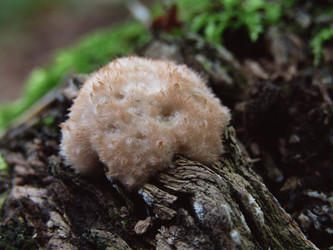 Similar image 22281294