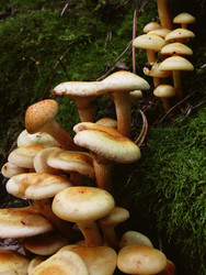 Similar image 22282681