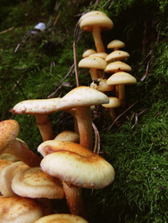 Similar image 22282682