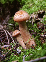 Similar image 22282683