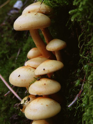 Similar image 22282684