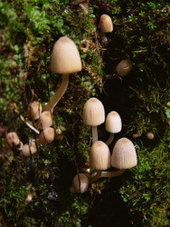 Similar image 22282685