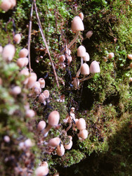 Similar image 22282686