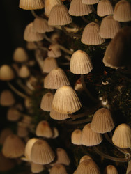 Similar image 22268978