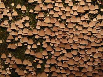 Similar image 22268979