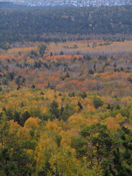 Similar image 22268980