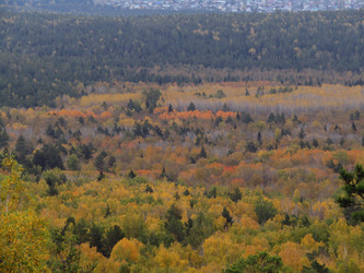 Similar image 22268981