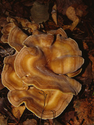 Similar image 22281295