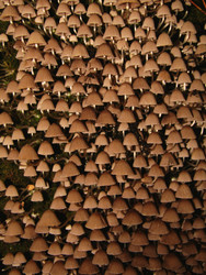 Similar image 22268982