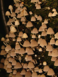 Similar image 22268983