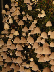 Similar image 22268984