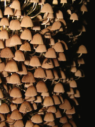 Similar image 22268985