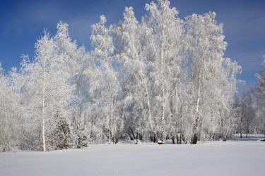 Similar image 22268986